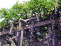 20040506.jpg 125×94 5K